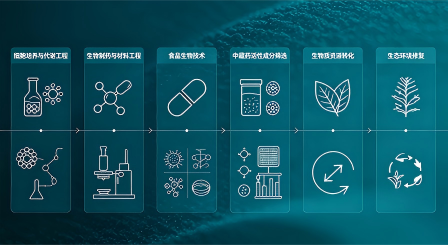生命科学与工程学院